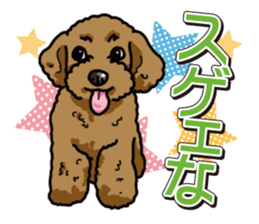 Wanko-Biyori Toy poodle sticker #12062581