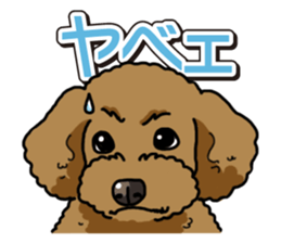 Wanko-Biyori Toy poodle sticker #12062583