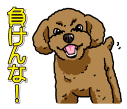 Wanko-Biyori Toy poodle sticker #12062584