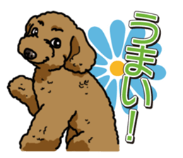 Wanko-Biyori Toy poodle sticker #12062585