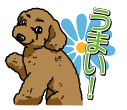 Wanko-Biyori Toy poodle sticker #12062585