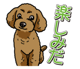 Wanko-Biyori Toy poodle sticker #12062587