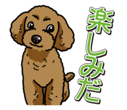 Wanko-Biyori Toy poodle sticker #12062587