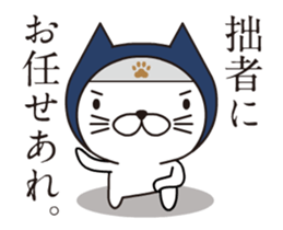 Ninja Cat's Animations Sticker sticker #12062776