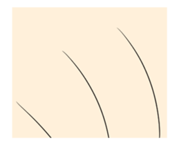 Honey branch animation sticker 1 sticker #12064577