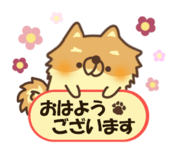 Mr.Pomemaru sticker #12064975