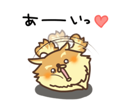 Mr.Pomemaru sticker #12064978