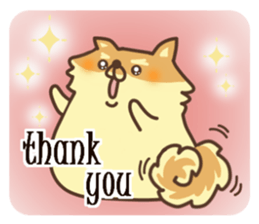 Mr.Pomemaru sticker #12064980