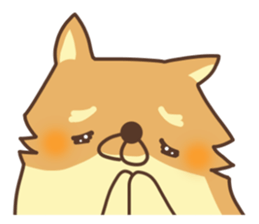 Mr.Pomemaru sticker #12064987