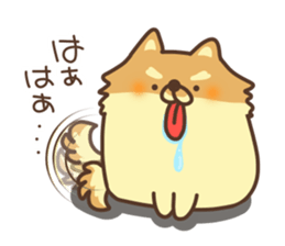 Mr.Pomemaru sticker #12064990