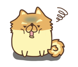 Mr.Pomemaru sticker #12064994