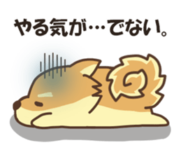 Mr.Pomemaru sticker #12064995