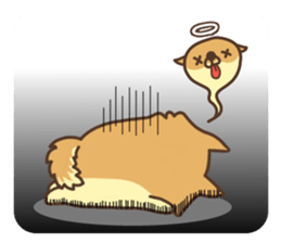 Mr.Pomemaru sticker #12064997