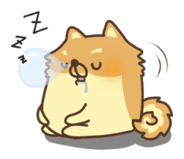 Mr.Pomemaru sticker #12065004