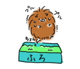 pomeranian pom pom sticker #12065867