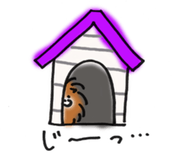 pomeranian pom pom sticker #12065874