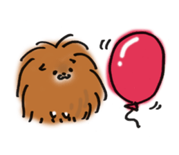 pomeranian pom pom sticker #12065879