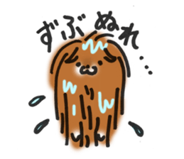 pomeranian pom pom sticker #12065883