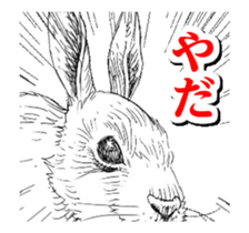 Close-up animals sticker #12066642