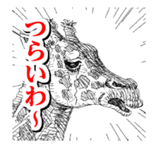 Close-up animals sticker #12066648