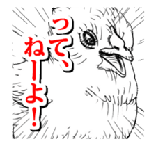 Close-up animals sticker #12066657