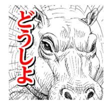 Close-up animals sticker #12066658