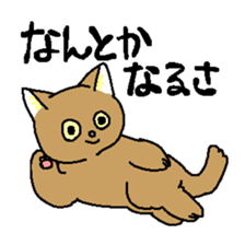 KittenSticker sticker #12068140