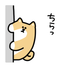 This is Shiba sticker #12083455