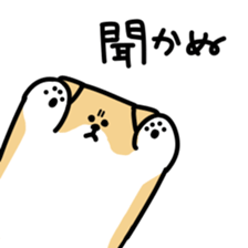 This is Shiba sticker #12083473