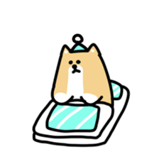 This is Shiba sticker #12083481
