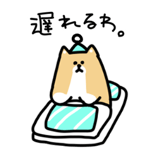 This is Shiba sticker #12083482