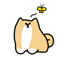 This is Shiba sticker #12083486