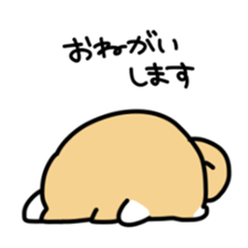 This is Shiba sticker #12083487