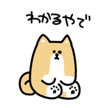 This is Shiba sticker #12083492