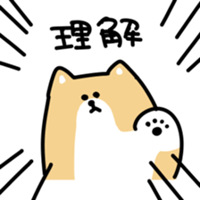 This is Shiba sticker #12083493