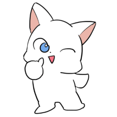 white cat of blue-eyed