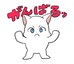 white cat of blue-eyed sticker #12084029