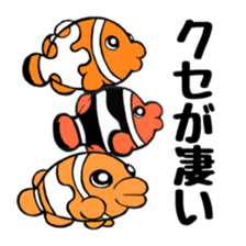 Anemonefish and saltWaterfish sticker #12085973