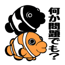 Anemonefish and saltWaterfish sticker #12085980
