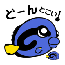 Anemonefish and saltWaterfish sticker #12085991