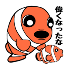 Anemonefish and saltWaterfish sticker #12086000