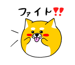 Koroinu2 Summer of Shibakoro sticker #12086158