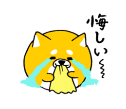 Koroinu2 Summer of Shibakoro sticker #12086161