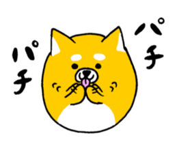 Koroinu2 Summer of Shibakoro sticker #12086162