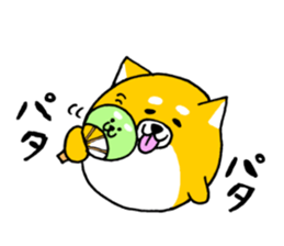 Koroinu2 Summer of Shibakoro sticker #12086163