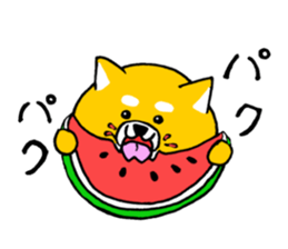 Koroinu2 Summer of Shibakoro sticker #12086167