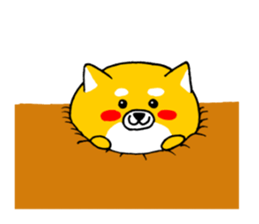 Koroinu2 Summer of Shibakoro sticker #12086172