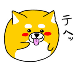 Koroinu2 Summer of Shibakoro sticker #12086187