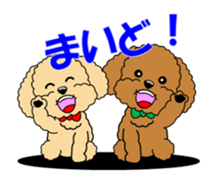 Move! Toy Poodle "Manzai style" sticker #12087174