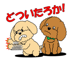 Move! Toy Poodle "Manzai style" sticker #12087177